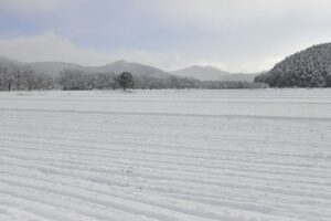 冬の山県市